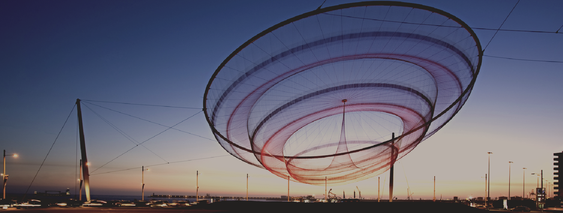 anemona_matosinhosaqu01_1_2500_2500